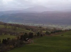 Ascella