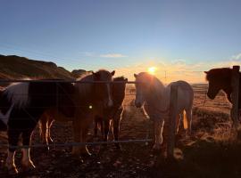 Arngrimslundur Cottages, lodge a Fl&uacute;&eth;ir