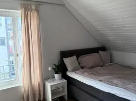 Apartment in Düdingen