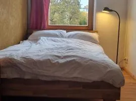 Wohnung in der Waldstadt