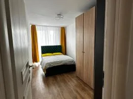 Urban Brana Apartment