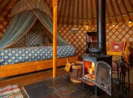 Finest Retreats - Pandy Traditional Yurt