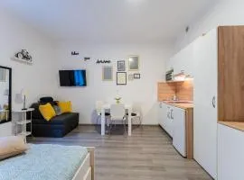 Flex SelfCheckIns 132 - Zagreb - Studio Apartman - Centar