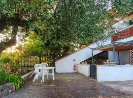 1 Bedroom Awesome Apartment In Casal Velino