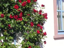 Ferienwohnung in ehemaliger Bank, hotel en Sinntal