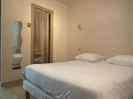 LES VOYAGEURS - Vairé