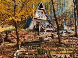 Planinska vila KTM Lisine, Hotel in Despotovac