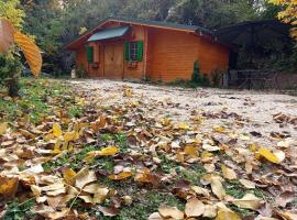 La R&acirc;u - Căsuța de poveste, chal&eacute; alpino em C&acirc;mpulung