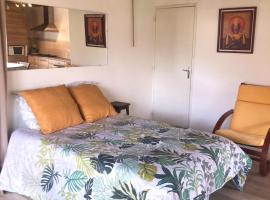 Gîte L'Exotique au calme, terrasse & jardin, Cusset, hotel v destinaci Cusset