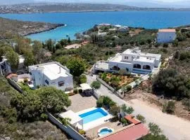 Villa Plumeria Flower