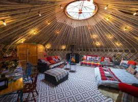 Giant Yurt Sleeping 8 with Spa, Catering, Walled Gardens, Nature Reserve, Free Parking