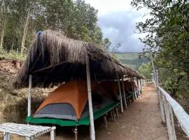 Mystic Valley Vattavada