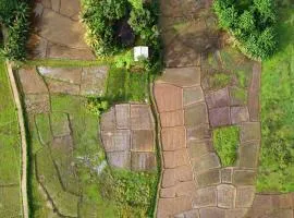 Forest & Fields Sinharaja - Step Close, Live Wild