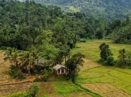 Forest & Fields Sinharaja - Step Close, Live Wild