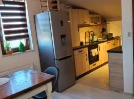 Apartament Parc Romanescu 4 locuri-2 familii