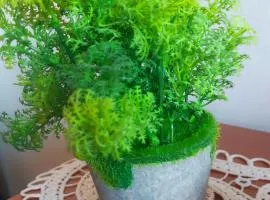 Cozy Studio East-Side