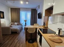 Global Apartments Katowice City Center