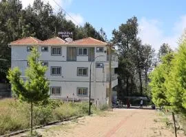 Drizzle Home - A Cosy Stay