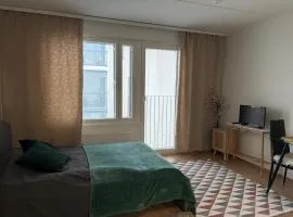 City apartment nearby Airport 2