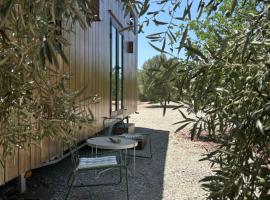 Tiny House, mini casa em Pereiro