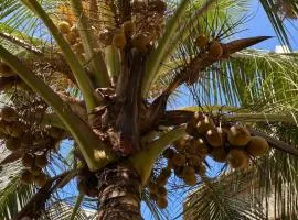 Amani Guest House Lamu