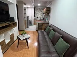 Comfortable apartment in Sopocachi