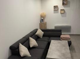 Appartement chaleureux, proche gare et monuments, hotel in Vienne