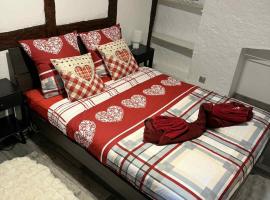 Le petit nid de cigogne, hotel din Colmar