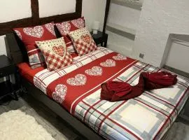 Le petit nid de cigogne