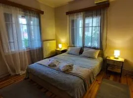 Citadel's Tranquility Ioannina