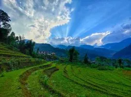 Drukinn gaireykhet homestay