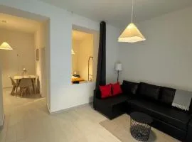 Studiowohnung und Zimmer, Basel-Stadt, Cozy studio with private terrace and direct access, close to Basel city center