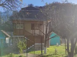 Casa La Umbra Muntilor