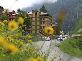 Ayder Hotel, hotel v destinaci Çamlıhemşin