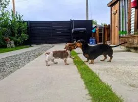 Cabañas Ruben Dario 1