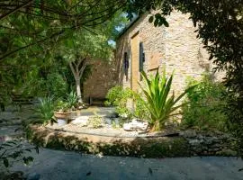 Kokomo Deluxe King - King Cottage