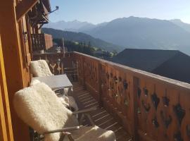 CHALET INDIVIDUEL BISANNE 1500 - Les saisies, hotel in Villard-sur-Doron