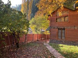 Villa Maxi Likani, hotel v destinaci Bordžomi