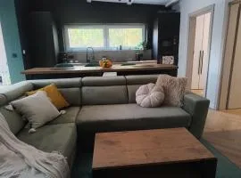 Domek w lesie,Nienawiszcz