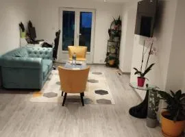 Nice apartment 1 hour from Paris and 45 minutes from Orléans