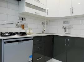 Olena's apartment, hotel in Berehove