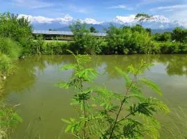 Bhoomi Organics Farmstay