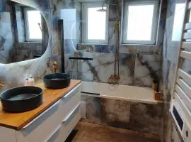 Maison moderne et chaleureuse à Colmar