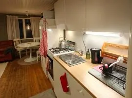 Aurora Cabin Altajärvi