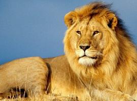 LOUVRE HOME, ξενοδοχείο σε Sevan