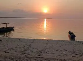 Hoga Island Dive Resort