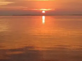 Hoga Island Dive Resort