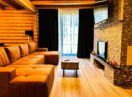 Cabana Valea Bistrei, hotel v destinaci Bistra