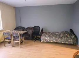 Pleasant apartament im center low price