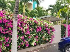 Coconut Palm Retreat